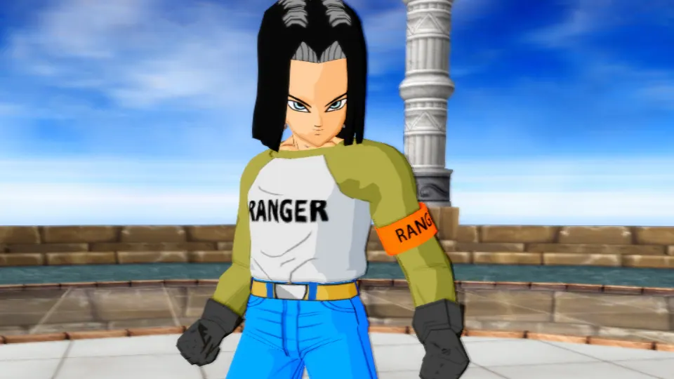 Android 17 DBS